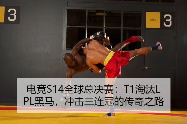 dian-jing-quan-qiu-zong-jue-sai-tao-tai-hei-ma-chong-ji-san-lian-guan-de-chuan-qi-zhi-lu-2-394.jpg